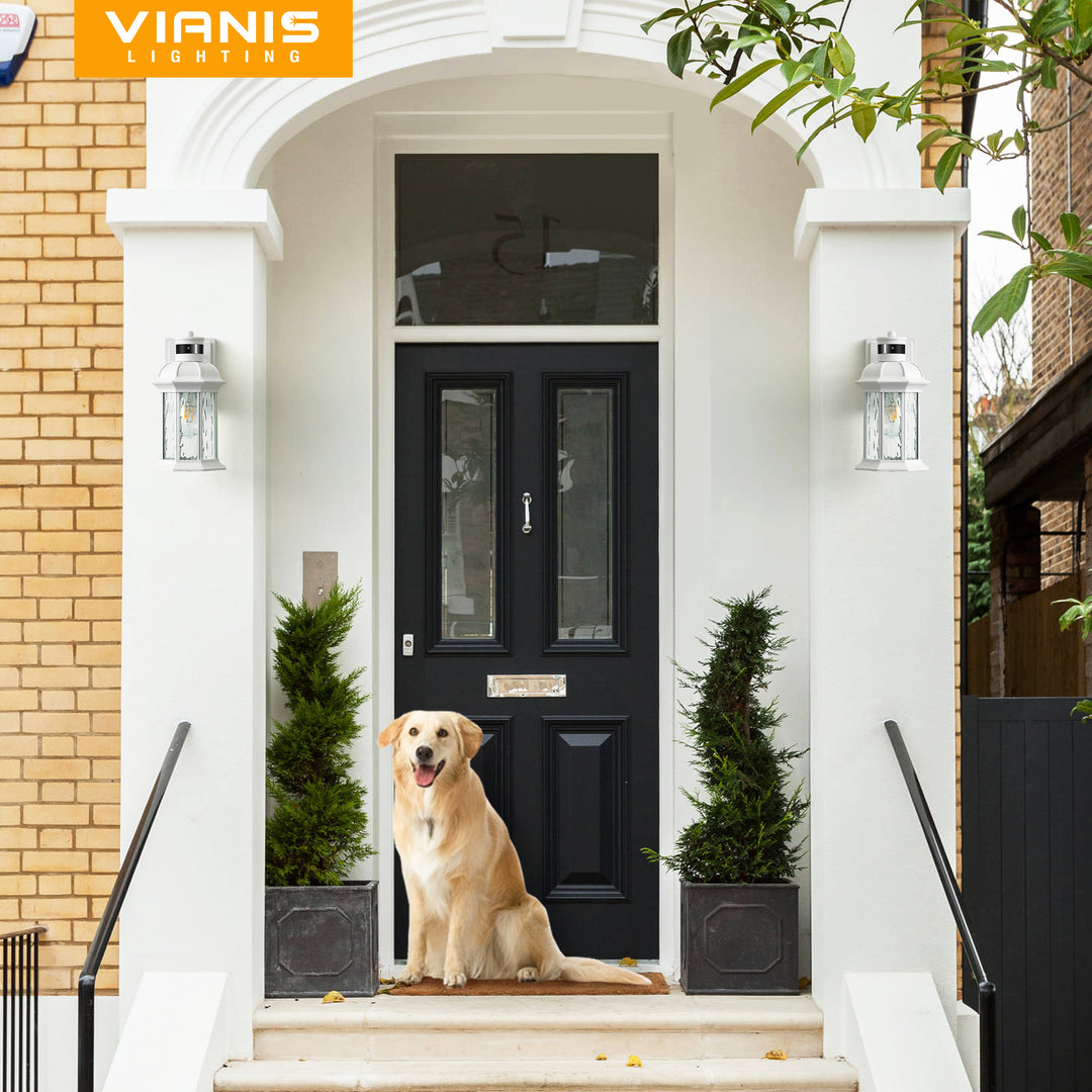 VIANIS Dusk to Dawn Motion Sensor Outdoor Porch Lights With Tempered Ripple Glass For Garage