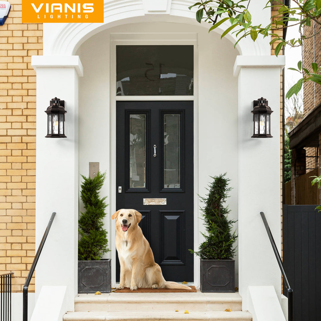 VIANIS Dusk to Dawn Motion Sensor Outdoor Porch Lights With Tempered Ripple Glass For Garage