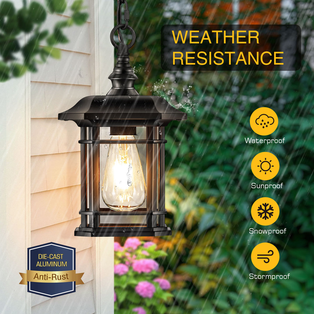 VIANIS Black Outdoor Pendant Light with Seeded Glass Shade