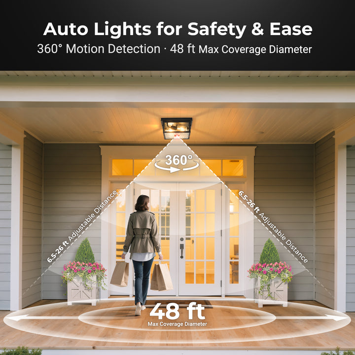 VIANIS Black Motion Sensor Outdoor Ceiling Light with Remote Control