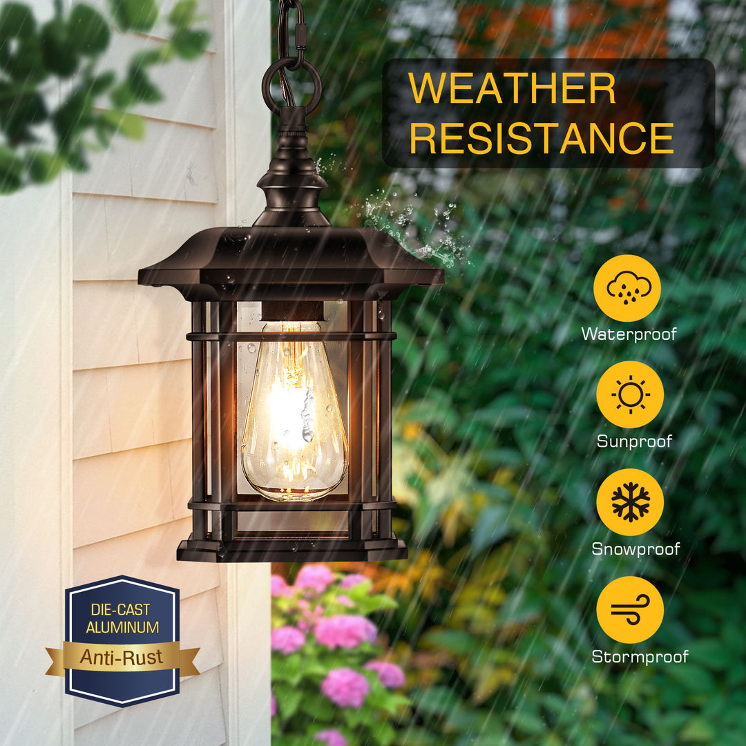 VIANIS Black Outdoor Pendant Light with Seeded Glass Shade
