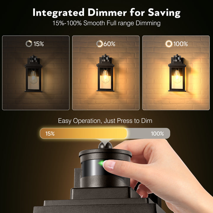 VIANIS Motion Sensor Outdoor Light Fixture for Garage, Porch, House