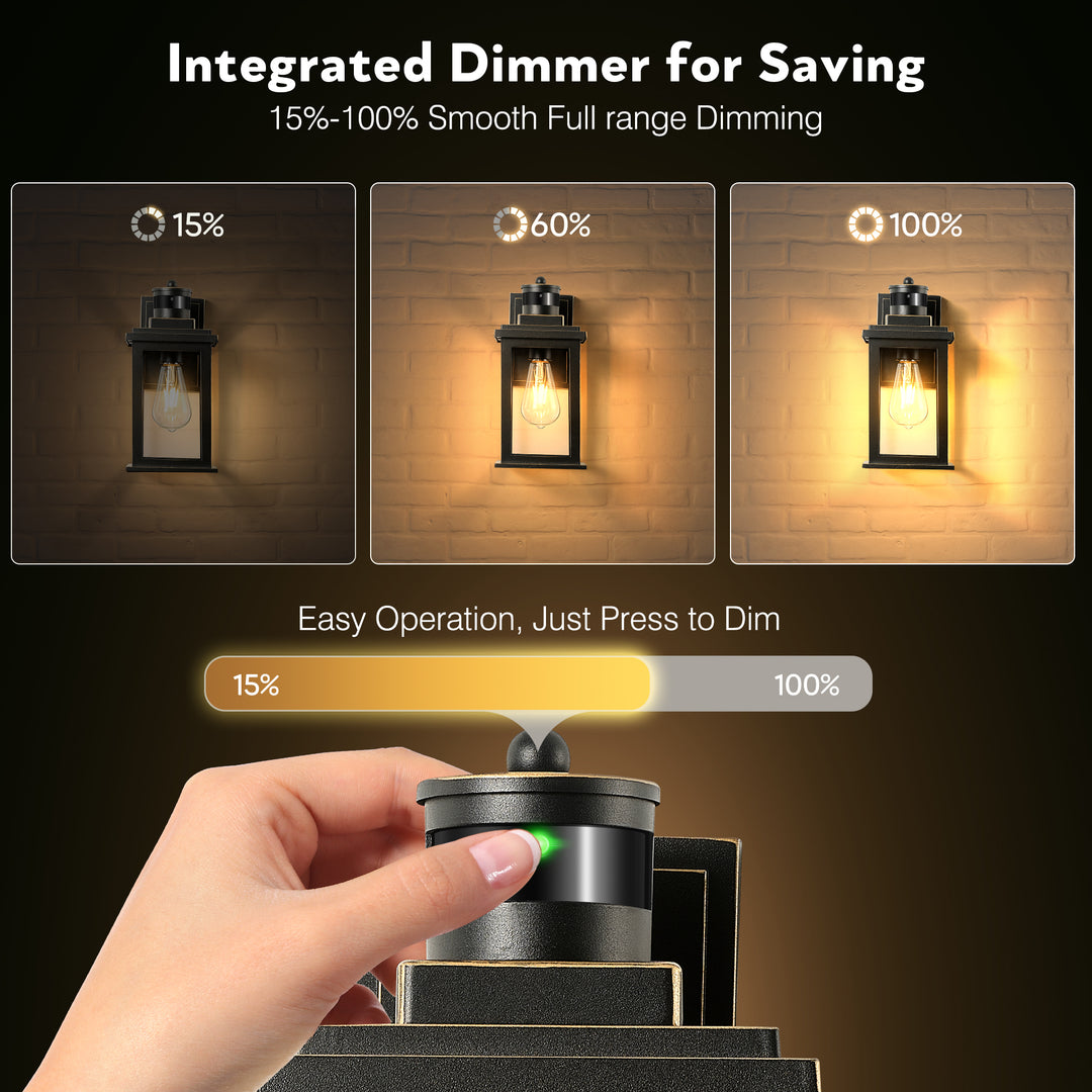 VIANIS Motion Sensor Outdoor Light Fixture for Garage, Porch, House