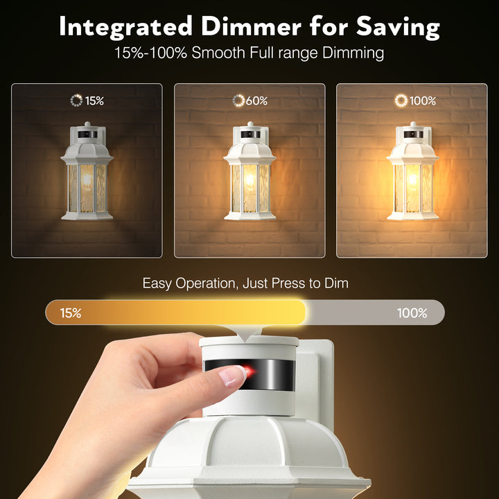 VIANIS Dusk to Dawn Motion Sensor Outdoor Porch Lights With Tempered Ripple Glass For Garage