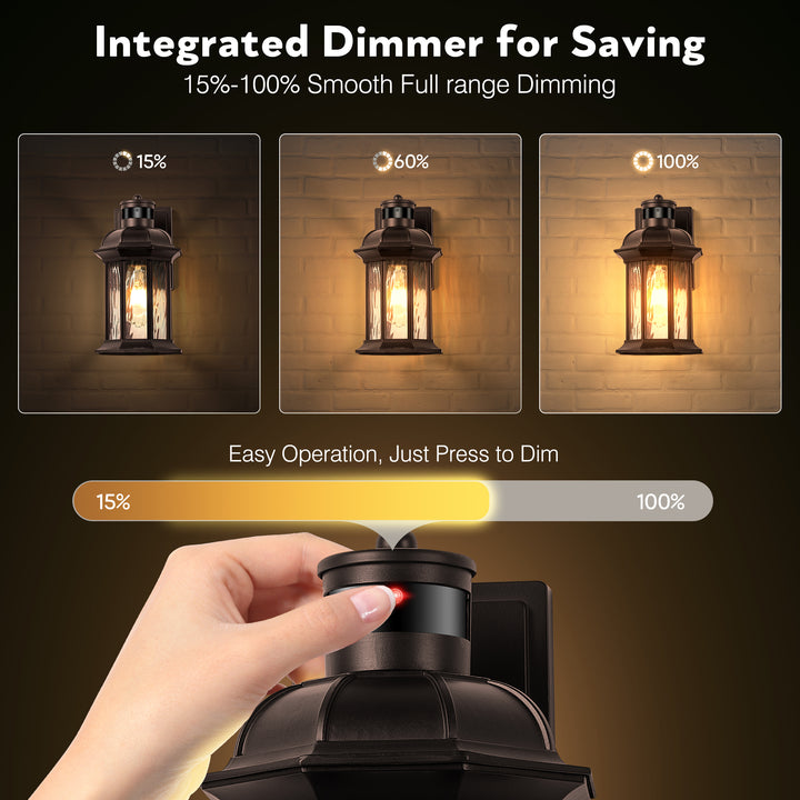 VIANIS Dusk to Dawn Motion Sensor Outdoor Porch Lights With Tempered Ripple Glass For Garage