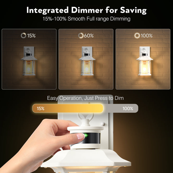 VIANIS Outdoor Wall Lantern With Motion Sensor and Dusk to Dawn