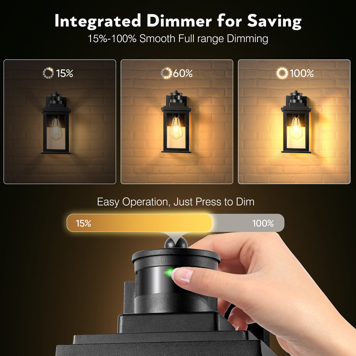 VIANIS Motion Sensor Outdoor Light Fixture for Garage, Porch, House