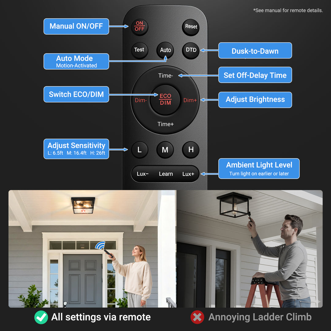 VIANIS Black Motion Sensor Outdoor Ceiling Light with Remote Control
