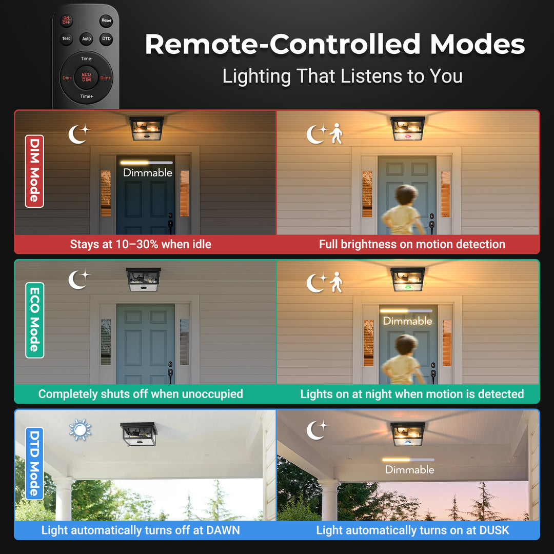 VIANIS Black Motion Sensor Outdoor Ceiling Light with Remote Control