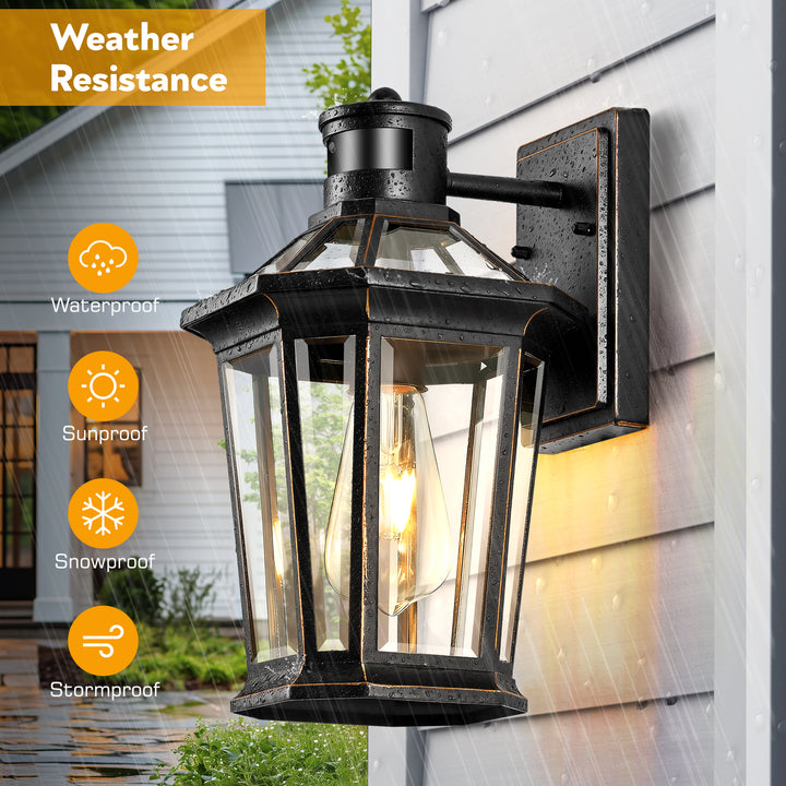 VIANIS Black Outdoor Wall Sconce with Motion Sensor and Clear Glass Shade