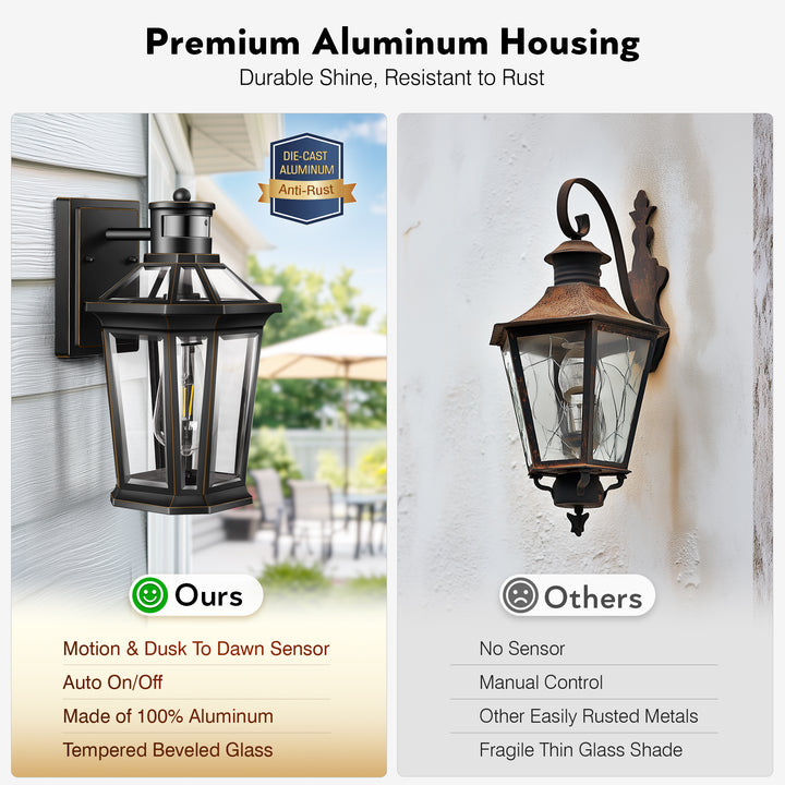 VIANIS Black Outdoor Wall Sconce with Motion Sensor and Clear Glass Shade