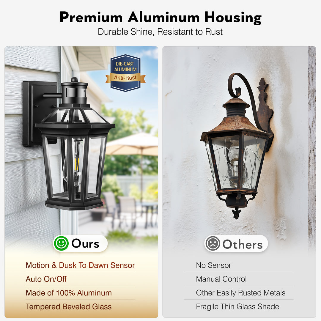 VIANIS Black Outdoor Wall Sconce with Motion Sensor and Clear Glass Shade