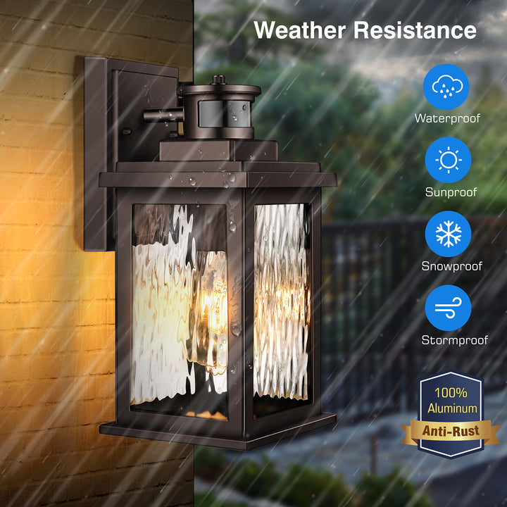 VIANIS Motion Sensor Outdoor Wall Light with Dusk-to-Dawn Sensor