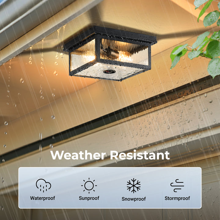 VIANIS Black Motion Sensor Outdoor Ceiling Light with Remote Control