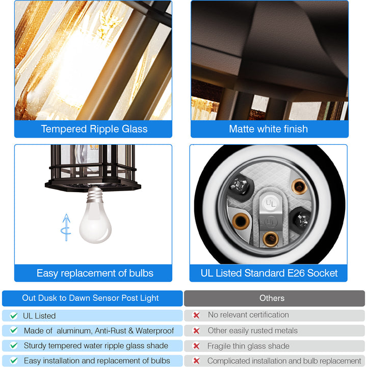VIANIS Black Outdoor Pendant Light with Seeded Glass Shade