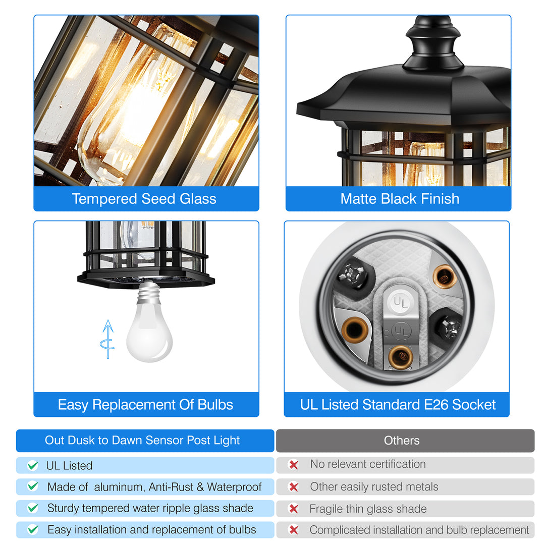 VIANIS Black Outdoor Pendant Light with Seeded Glass Shade