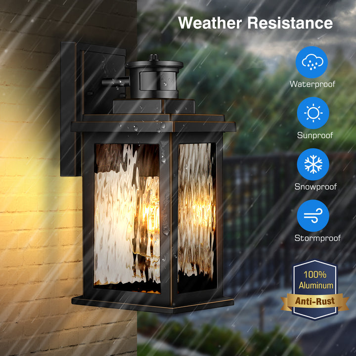 VIANIS Motion Sensor Outdoor Wall Light with Dusk-to-Dawn Sensor