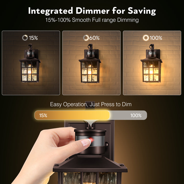 VIANIS Motion Sensor LED Outdoor Wall Lantern with Dusk-to-Dawn