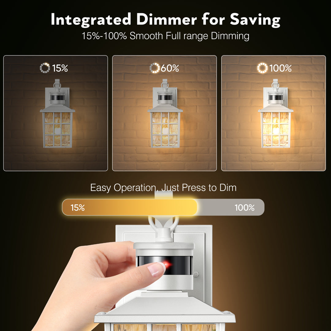 VIANIS Motion Sensor LED Outdoor Wall Lantern with Dusk-to-Dawn