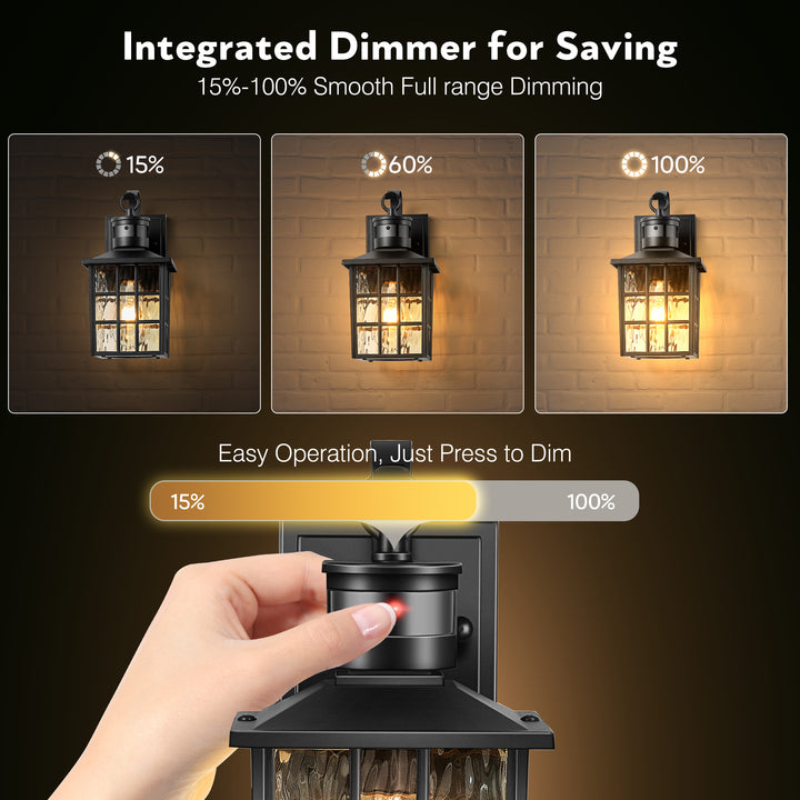 VIANIS Motion Sensor LED Outdoor Wall Lantern with Dusk-to-Dawn