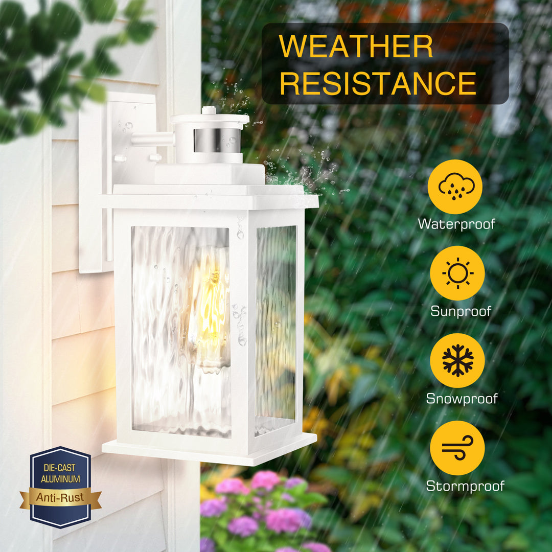 VIANIS Motion Sensor Outdoor Wall Light with Dusk-to-Dawn Sensor