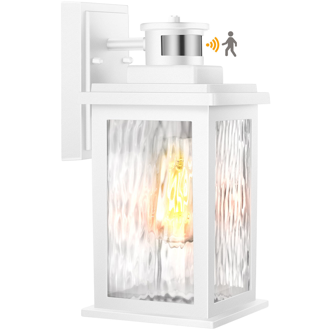 VIANIS Motion Sensor Outdoor Wall Light with Dusk-to-Dawn Sensor