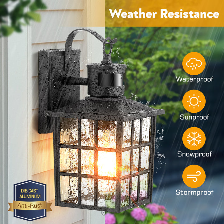 VIANIS Motion Sensor LED Outdoor Wall Lantern with Dusk-to-Dawn