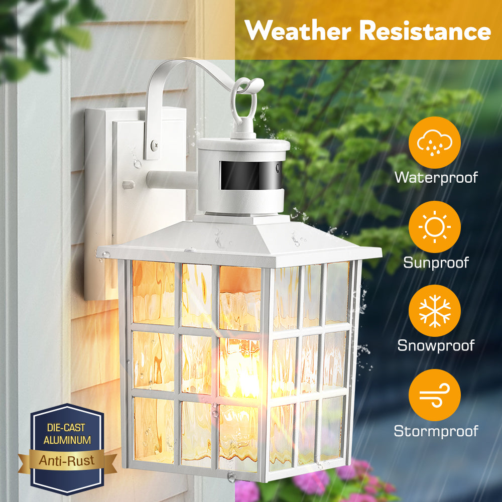 VIANIS Motion Sensor LED Outdoor Wall Lantern with Dusk-to-Dawn