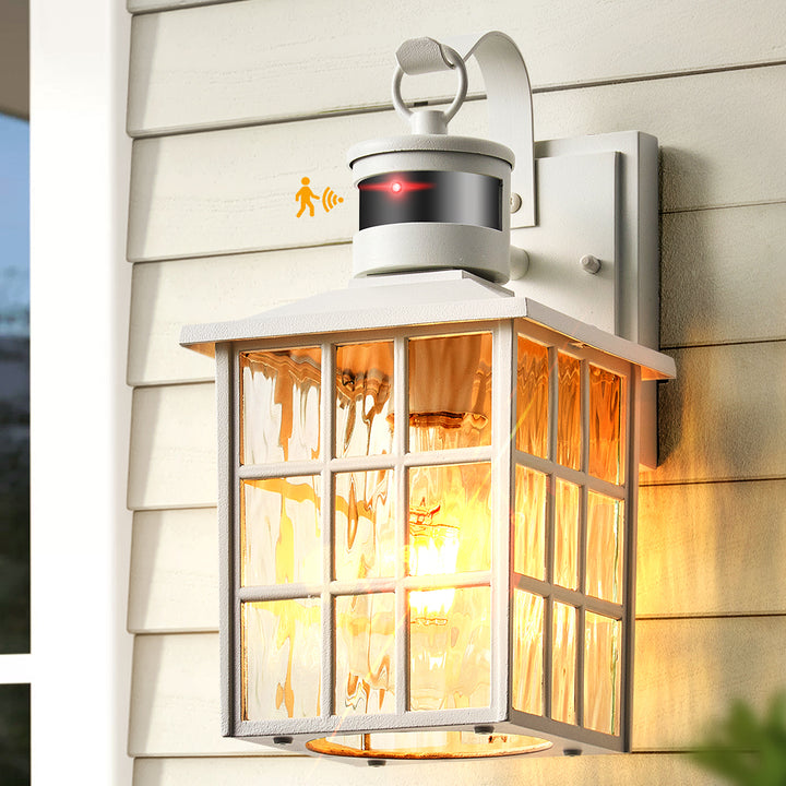 VIANIS Motion Sensor LED Outdoor Wall Lantern with Dusk-to-Dawn
