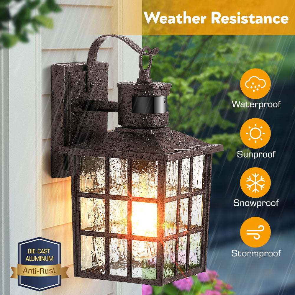 VIANIS Motion Sensor LED Outdoor Wall Lantern with Dusk-to-Dawn