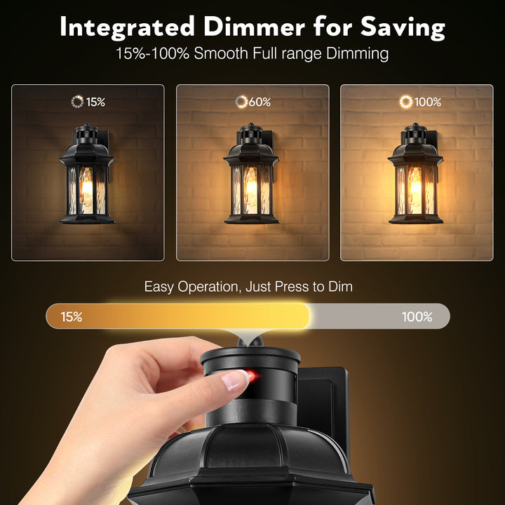 VIANIS Dusk to Dawn Motion Sensor Outdoor Porch Lights With Tempered Ripple Glass For Garage