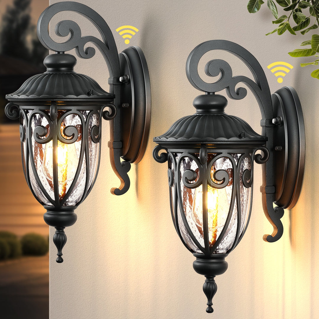 VIANIS Porch Lights Outdoor Dusk to Dawn,  Waterproof Outdoor Light Fixture with Seed Glass
