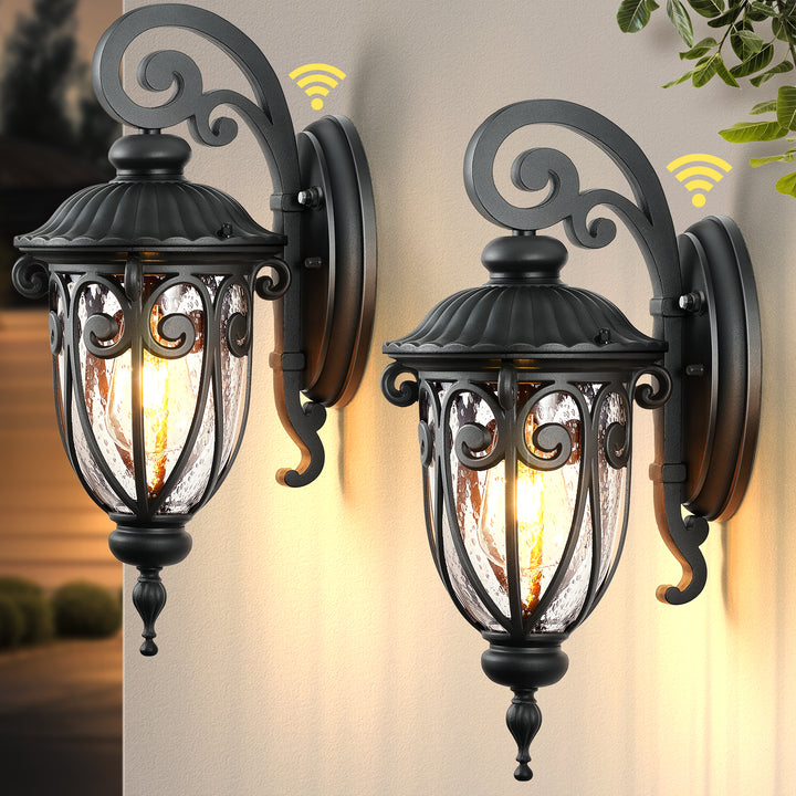 VIANIS Porch Lights Outdoor Dusk to Dawn,  Waterproof Outdoor Light Fixture with Seed Glass