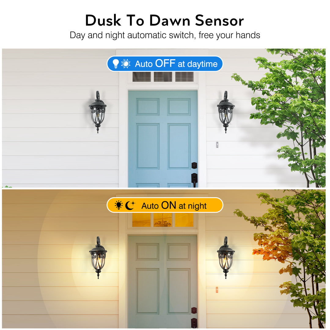 VIANIS Porch Lights Outdoor Dusk to Dawn,  Waterproof Outdoor Light Fixture with Seed Glass