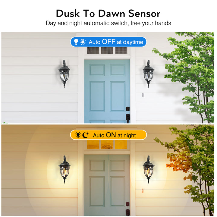 VIANIS Porch Lights Outdoor Dusk to Dawn,  Waterproof Outdoor Light Fixture with Seed Glass