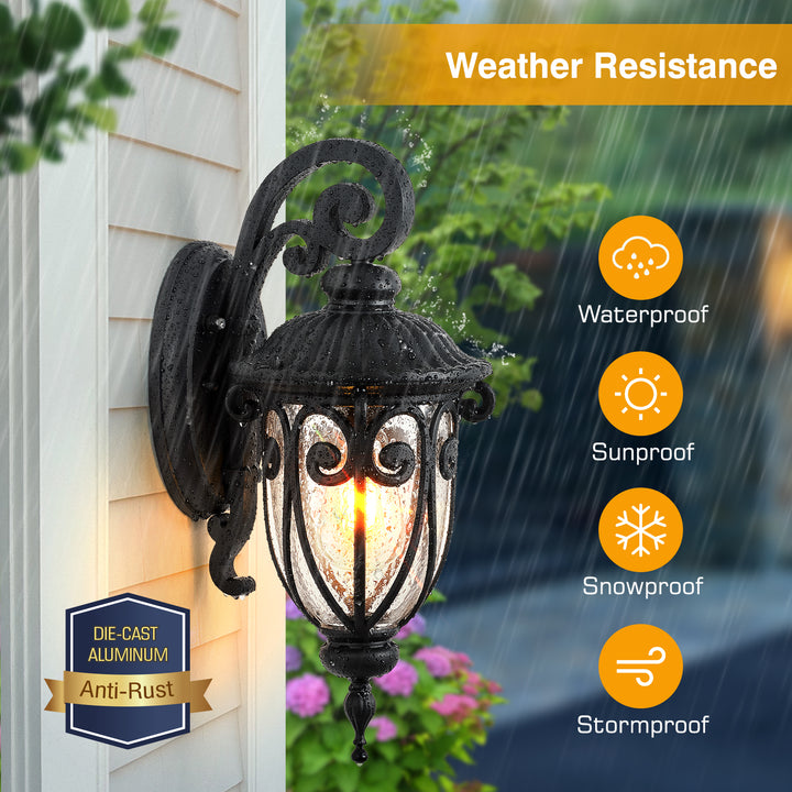 VIANIS Porch Lights Outdoor Dusk to Dawn,  Waterproof Outdoor Light Fixture with Seed Glass