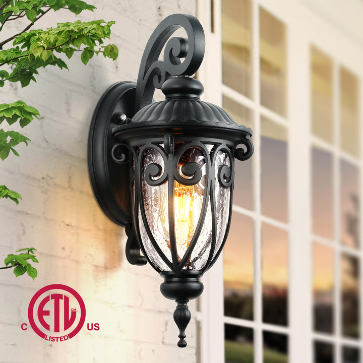 VIANIS Porch Lights Outdoor Dusk to Dawn,  Waterproof Outdoor Light Fixture with Seed Glass