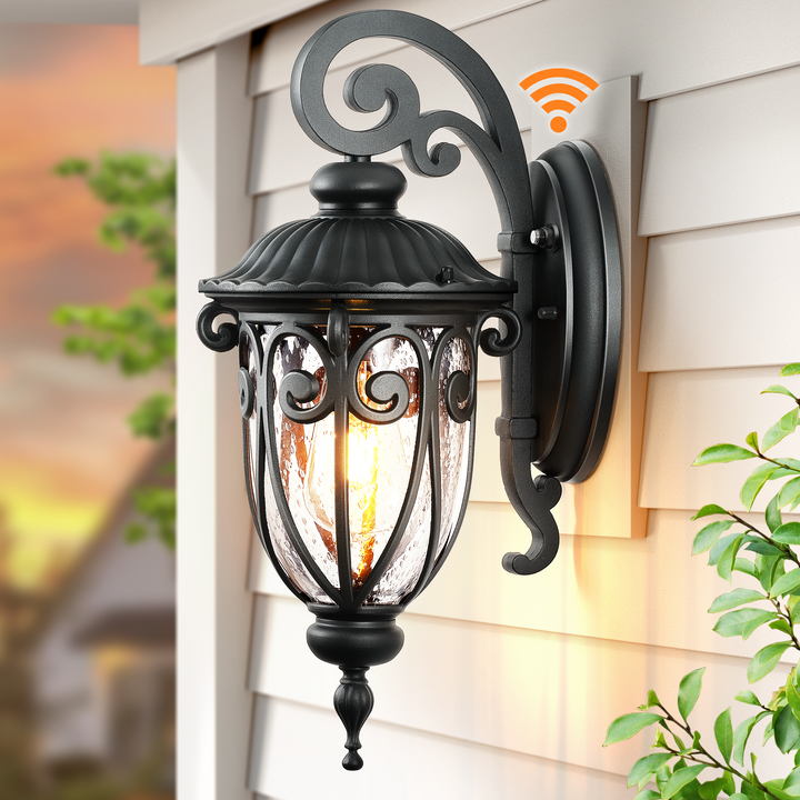 VIANIS Porch Lights Outdoor Dusk to Dawn,  Waterproof Outdoor Light Fixture with Seed Glass