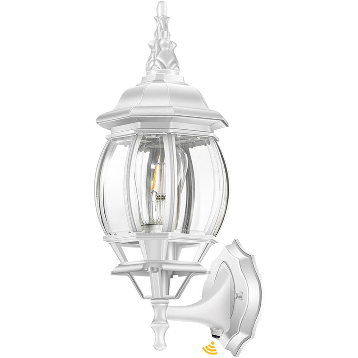 VIANIS Dusk to Dawn Outdoor Porch Light for House