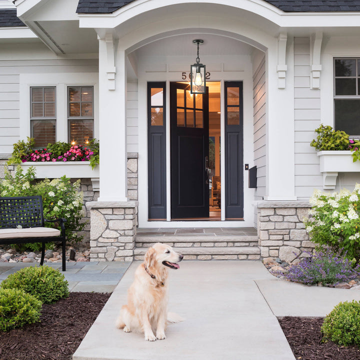 VIANIS Outdoor Hanging Porch Light with Tempered Seeded Glass