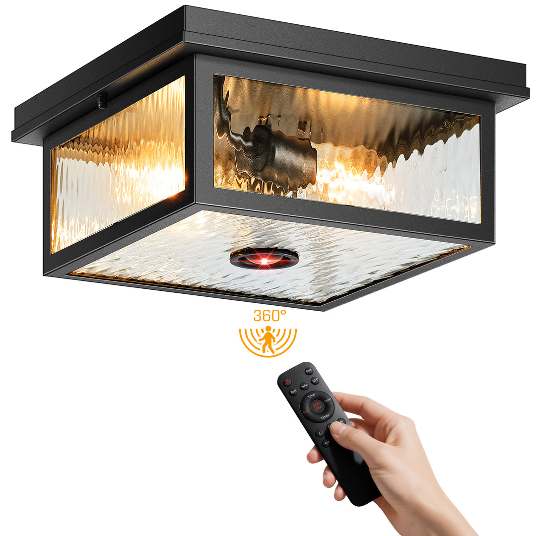 VIANIS Black Motion Sensor Outdoor Ceiling Light with Remote Control