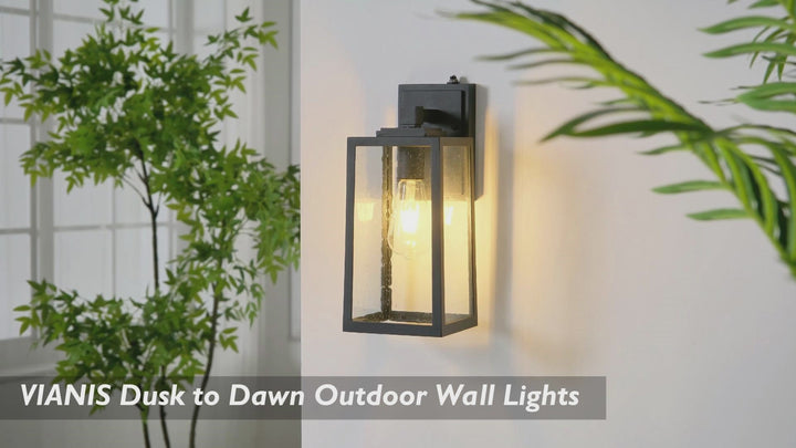 VIANIS Modern Black Dusk to Dawn Outdoor Wall Lantern